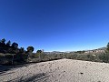 Magnifique villa avec piscine et vue sur la montagne à Petrer in Alicante Dream Homes API 1122