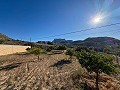 Villa avec vue panoramique et toutes commodités à deux pas in Alicante Dream Homes API 1122