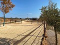 Beautiful Rural House with Pool in Pinoso in Alicante Dream Homes API 1122