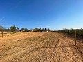 Beautiful Rural House with Pool in Pinoso in Alicante Dream Homes API 1122