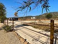 Beautiful Rural House with Pool in Pinoso in Alicante Dream Homes API 1122