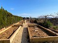 Beautiful Rural House with Pool in Pinoso in Alicante Dream Homes API 1122