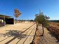 Beautiful Rural House with Pool in Pinoso in Alicante Dream Homes API 1122