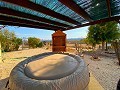 Beautiful Rural House with Pool in Pinoso in Alicante Dream Homes API 1122