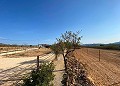 Beautiful Rural House with Pool in Pinoso in Alicante Dream Homes API 1122