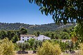 9 Bedroom Country Home in Alicante Dream Homes API 1122