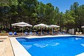 9 Bedroom Country Home in Alicante Dream Homes API 1122