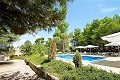 9 Bedroom Country Home in Alicante Dream Homes API 1122