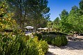 9 Bedroom Country Home in Alicante Dream Homes API 1122