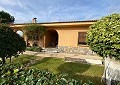 Unglaubliche 3-Schlafzimmer-Villa in Sax in Alicante Dream Homes API 1122