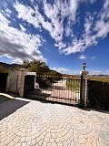 Schöne Villa in Yecla in Alicante Dream Homes API 1122
