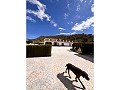 Schöne Villa in Yecla in Alicante Dream Homes API 1122