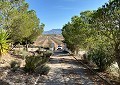 Villa in Sax mit unglaublicher Aussicht in Alicante Dream Homes API 1122