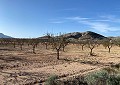 Villa in Sax mit unglaublicher Aussicht in Alicante Dream Homes API 1122