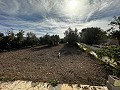 Lovely 7 Bed, 3 Bath Country House with private pool in Sax in Alicante Dream Homes API 1122