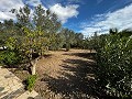 Lovely 7 Bed, 3 Bath Country House with private pool in Sax in Alicante Dream Homes API 1122