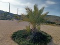 Ongelooflijke moderne villa in Canada de la Lena in Alicante Dream Homes API 1122