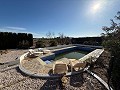 Villa with Pool in Caudete in Alicante Dream Homes API 1122