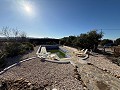 Villa with Pool in Caudete in Alicante Dream Homes API 1122