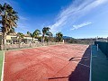 Encantadora Villa con Cocina de Verano y Casa de Invitados a 15 minutos de la Playa in Alicante Dream Homes API 1122