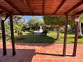 Wunderschöne Villa mit 5 Schlafzimmern und 5 Bädern in Pena de Las Aguilas,Elche in Alicante Dream Homes API 1122