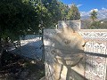 Fabulous Country Home with Private Pool in Alicante Dream Homes API 1122