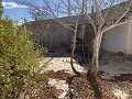 Höhlenhaus zum Renovieren mit Pool in Stadtnähe in Alicante Dream Homes API 1122