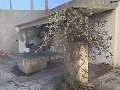 Höhlenhaus zum Renovieren mit Pool in Stadtnähe in Alicante Dream Homes API 1122