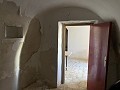 Höhlenhaus zum Renovieren mit Pool in Stadtnähe in Alicante Dream Homes API 1122