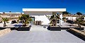 Stunning 4 Bed 2 Bath Villa in Pinoso in Alicante Dream Homes API 1122