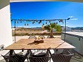 Stunning 4 Bed 2 Bath Villa in Pinoso in Alicante Dream Homes API 1122