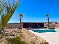 Stunning 4 Bed 2 Bath Villa in Pinoso in Alicante Dream Homes API 1122