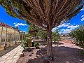 Wunderschöne Villa mit Pool in Hondon De Los Frailes in Alicante Dream Homes API 1122