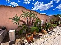 Wunderschöne Villa mit Pool in Hondon De Los Frailes in Alicante Dream Homes API 1122