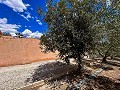 Wunderschöne Villa mit Pool in Hondon De Los Frailes in Alicante Dream Homes API 1122