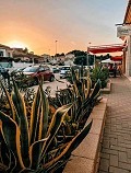 Fabulous Business Opportunity  in Alicante Dream Homes API 1122