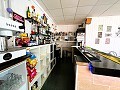 Fabulous Business Opportunity  in Alicante Dream Homes API 1122