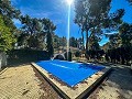 Belle maison de campagne avec piscine à Almansa in Alicante Dream Homes API 1122