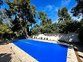 Belle maison de campagne avec piscine à Almansa in Alicante Dream Homes API 1122