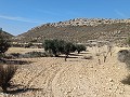 Schönes Neubau-Villengrundstück mit 3 Schlafzimmern und 2 Bädern zwischen Torre del Rico und Pinoso. in Alicante Dream Homes API 1122