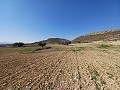 Schönes Neubau-Villengrundstück mit 3 Schlafzimmern und 2 Bädern zwischen Torre del Rico und Pinoso. in Alicante Dream Homes API 1122