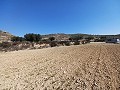 Belle villa neuve de 3 chambres et 2 salles de bains, terrain inclus à Pinoso. in Alicante Dream Homes API 1122
