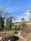 Magnífica Finca Ecuestre Off-Grid en Almansa in Alicante Dream Homes API 1122