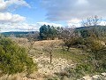 Magnífica Finca Ecuestre Off-Grid en Almansa in Alicante Dream Homes API 1122