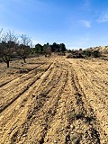 Magnífica Finca Ecuestre Off-Grid en Almansa in Alicante Dream Homes API 1122