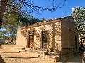 Magnífica Finca Ecuestre Off-Grid en Almansa in Alicante Dream Homes API 1122