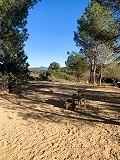 Magnífica Finca Ecuestre Off-Grid en Almansa in Alicante Dream Homes API 1122