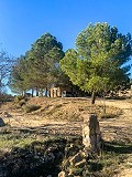 Magnífica Finca Ecuestre Off-Grid en Almansa in Alicante Dream Homes API 1122