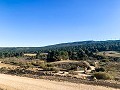 Magnífica Finca Ecuestre Off-Grid en Almansa in Alicante Dream Homes API 1122