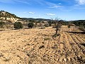 Magnífica Finca Ecuestre Off-Grid en Almansa in Alicante Dream Homes API 1122